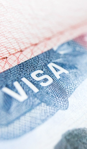 Visa Processing